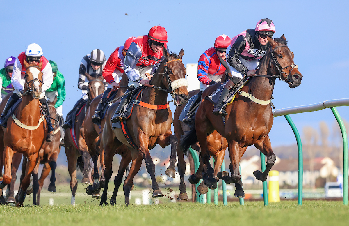 2025 Fixture List Ayr Racecourse Scotland’s Premier Racecourse