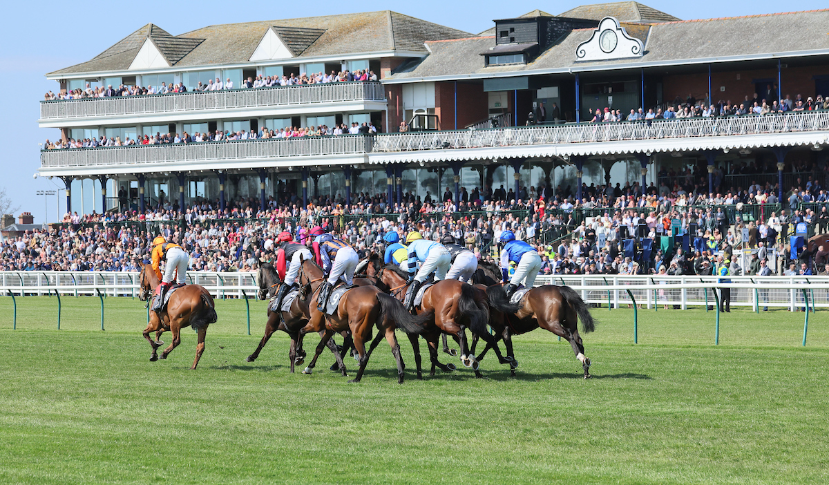 71 Entries for £200,000 Coral Scottish Grand National on Saturday April